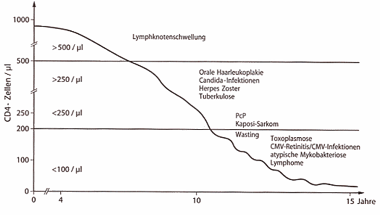 infektionsverlauf.gif (11104 Byte)