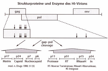 strukprot.gif (17767 Byte)